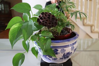 Blue And White Ceramic Planter Currently With Plant Soil Inside.