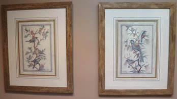 Two Vintage Framed Bird Prints Of Pastel- Colored Birds On Branches.