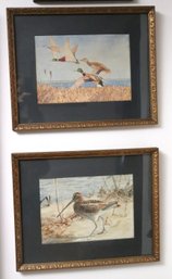 Two Signed Watercolor Paintings Of Sea Birds Matted & Framed.