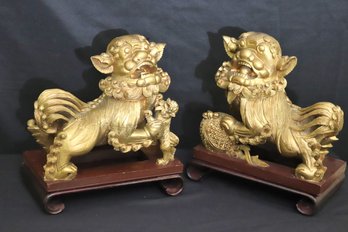 Pair Of Gilded Scirocco Wood Foo Dogs / Temple Lions On Ming Style Wooden Stands.