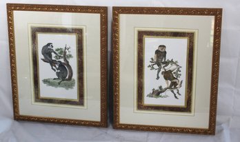 Pair Of Vintage Monkey Prints With Hand Painted Matting And Gilt Wood Frames