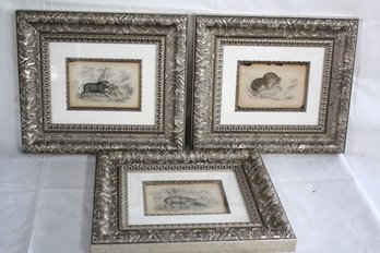 Lot Of 3 Vintage Wild Boar Prints In Baroque Silver Frames