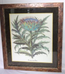 A Vintage Framed Print Of A Wild Thistle Plant