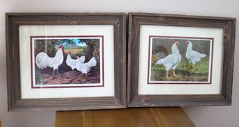 Two Framed Prints Of Cornish Hens And White Leghorn.