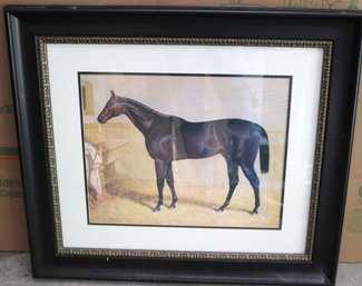 Framed Equestrian Print