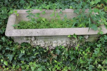 Large Cement Outdoor Planter