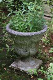 Cement Garden Planter In The Shape Of An Urn