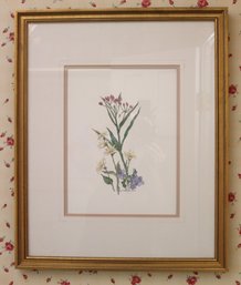 Framed Wild Flowers Botanical Print By Sally Eclena Roberts