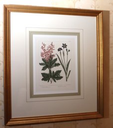 Framed Wild Flowers Botanical Print