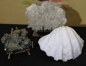 Large Calcite Piece, Pyrite & Large Clam Shell