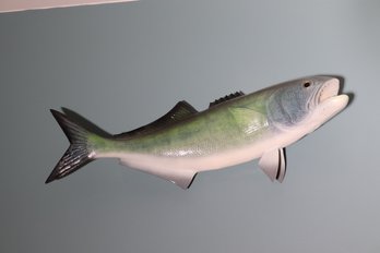 Almost Alive, Taxidermy Bluefish, Measuring 20  L