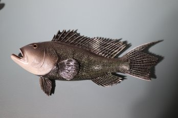 Incredible Black Sea Bass Taxidermy Fish
