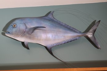 Mounted African Pompano Fish, With Beautiful Wispy Hairs On Its Fins