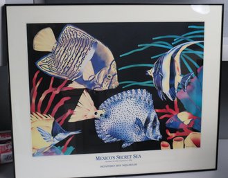 Monterey Bay Aquarium, Mexico S Secret Sea Framed Poster