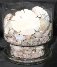 Large Decorative Metallic Finished Seashell Decor, Includes A Large Bowl Filled With Assorted Seashells