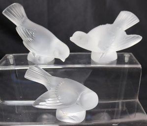 Collection Of 3 Lalique France Frosted Dove Bird Figurines