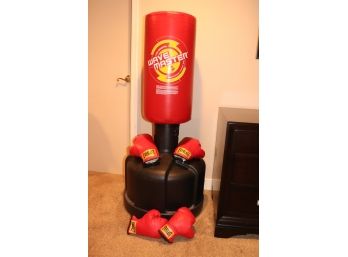 The Original Wave Master Training Bag With Everlast Gloves