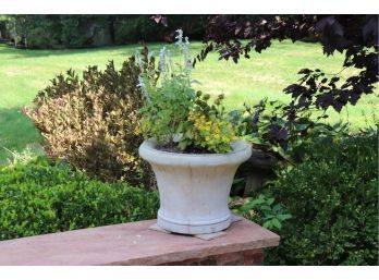 Set Of 2 Outdoor Cement Planters Assorted Sizes