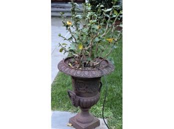 Cast Iron Trophy Urn Planter