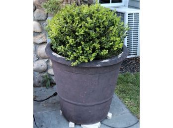 Resin Planter With Juniper & Boxwood Evergreens