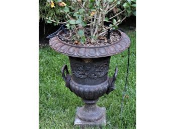 Cast Iron Trophy Urn Planter