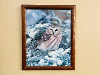 Vintage Oak Framed Large Owl Photo