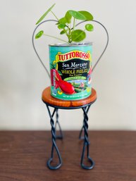 Petite Planter Stand Chair And Live Pilea Plant