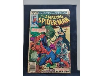 The Amazing Spider-Man 204 NEWSSTAND 3rd Appearance Of Black Cat 1980