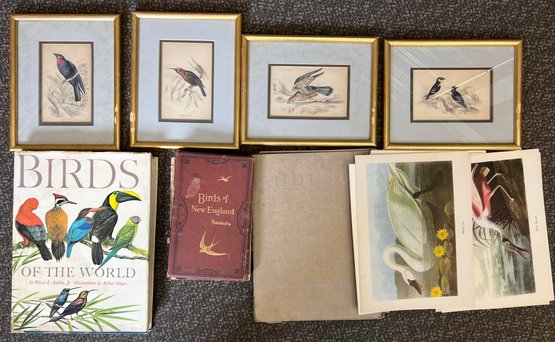 (7) Antique Birds Ephemera Lot Audubon Prints, Framed Illustrations , Books