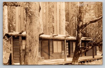C. 1910's Lane's Redwood Flat California Real Photo Postcard RPPC