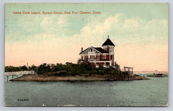 1910s Port Chester CT Game Cock Island Postcard