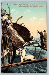 1910s New Bedford MA Whale Hunting Whaling Postcard