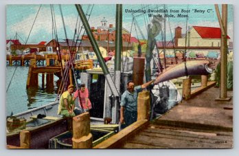 1955 Woods Hole Cape Cod Unloading Swordfish Postcard