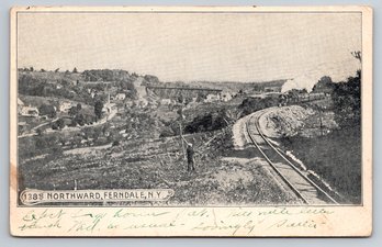 1908 Ferndale New York Train Tracks Postcard