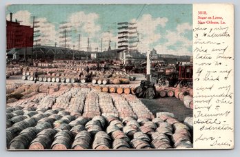 1906 New Orleans LA Sugar On Levee Postcard