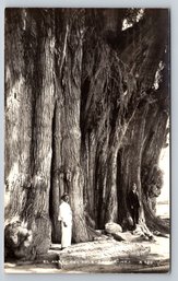 1930s Mexico Real Photo Postcard RPPC