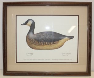 2010 Massachusetts Waterfowl Framed Stamp Design By Janice Louise Sexton #10/25