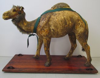 Antique Camel Pull Toy