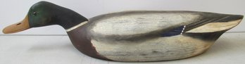 William Kirkpatrick ASSABET RIVER SWIMMING MALLARD Decoy