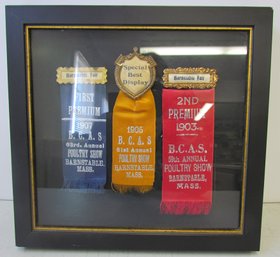 Vintage BARNSTABLE COUNTY FAIR Framed Ribbon Display