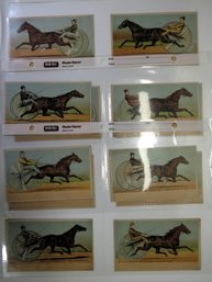 (16) 1886 Horse Racing Trotting Victorian Trade Card Lot