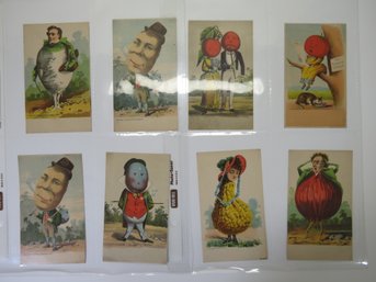 (8) 1880's Vegetable Themed Victorian Trade Card Lot