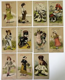 (11) 1880's Boraxine Victorian Trade Card Lot From Same Series