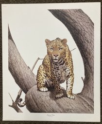 1971 GUY COHELEACH Leopard Stare Autographed Lithograph  With Original Envelope