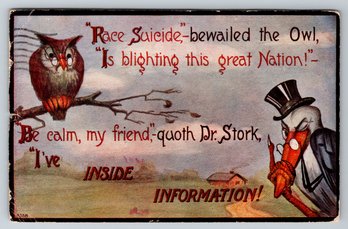 1911 Controversial Race Suicide Dr Stork Postcard