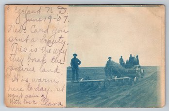 1907 Egeland North Dakota Cyanotype Real Photo Postcard Of Farmers