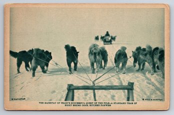 1910's Robert Peary Arctic Explorer Sled Dog Postcard