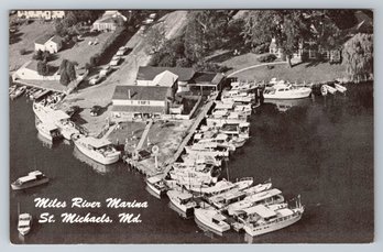 1950's St Michaels Maryland Miles River Marina Postcard
