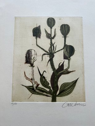 Etching Of Flowers