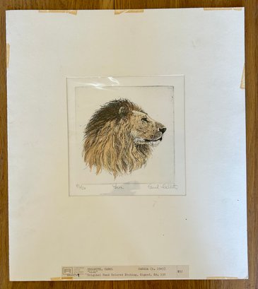 Carol Collette, Original Hand Colored Etching, Signed 97/150 Titled: Lion, Has COA